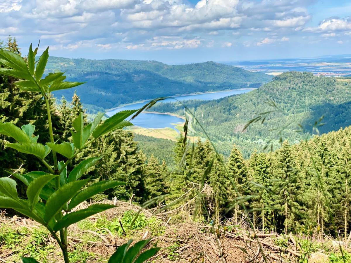 Schoene Aussicht! Langelsheim Dış mekan fotoğraf