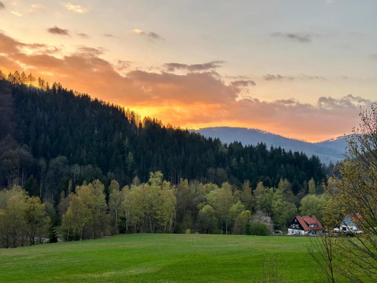 Schoene Aussicht! Langelsheim Dış mekan fotoğraf